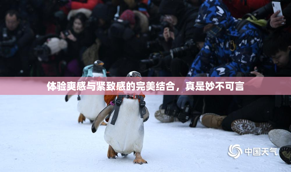 体验爽感与紧致感的完美结合，真是妙不可言