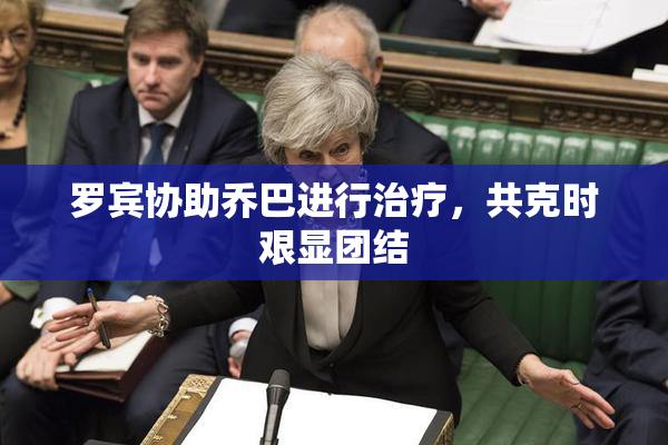 罗宾协助乔巴进行治疗，共克时艰显团结