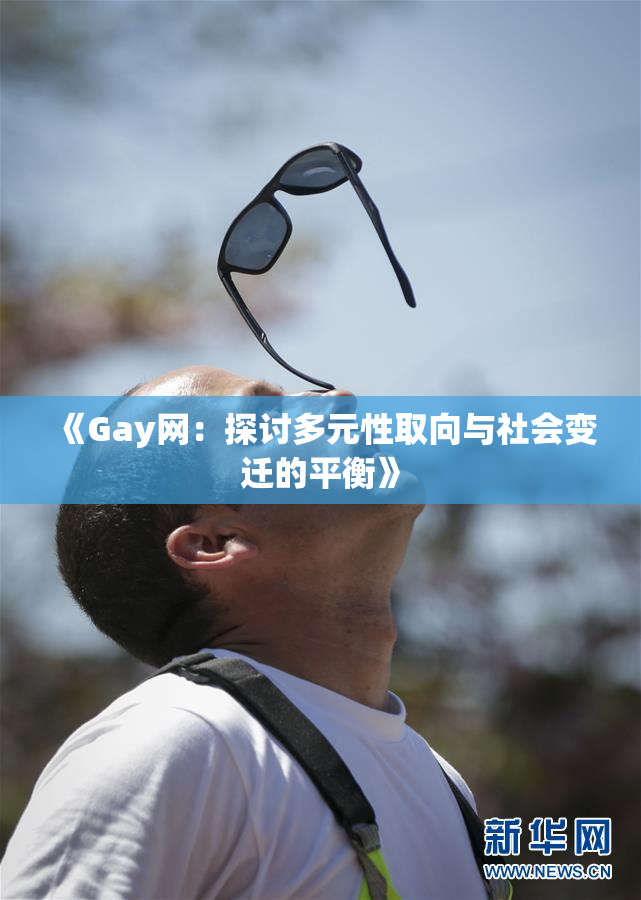 《Gay网：探讨多元性取向与社会变迁的平衡》