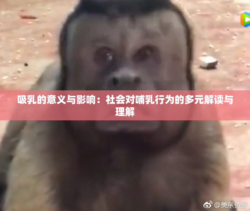 吸乳的意义与影响：社会对哺乳行为的多元解读与理解