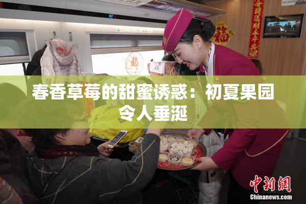 春香草莓的甜蜜诱惑：初夏果园令人垂涎