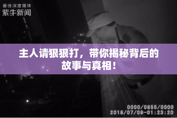 主人请狠狠打，带你揭秘背后的故事与真相！