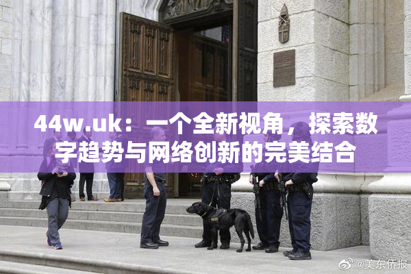 44w.uk：一个全新视角，探索数字趋势与网络创新的完美结合