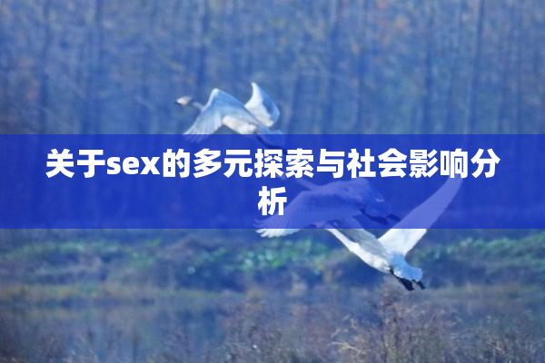 关于sex的多元探索与社会影响分析