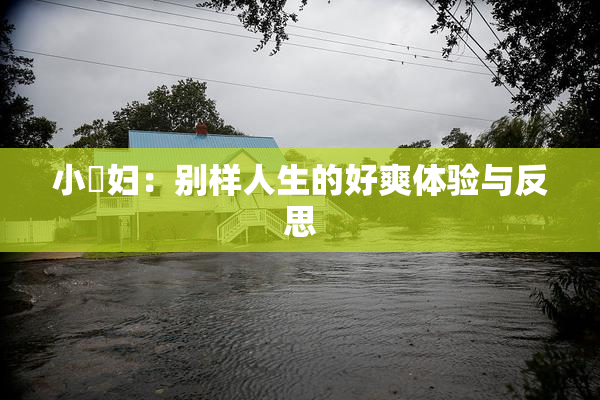 小婬妇：别样人生的好爽体验与反思
