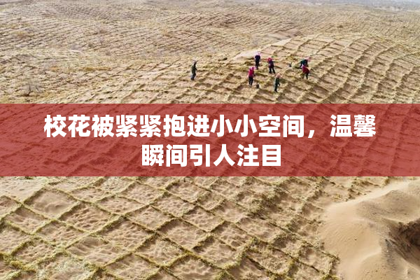 校花被紧紧抱进小小空间，温馨瞬间引人注目