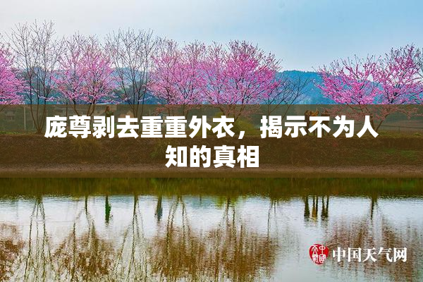 庞尊剥去重重外衣，揭示不为人知的真相