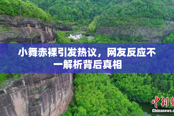 小舞赤裸引发热议，网友反应不一解析背后真相