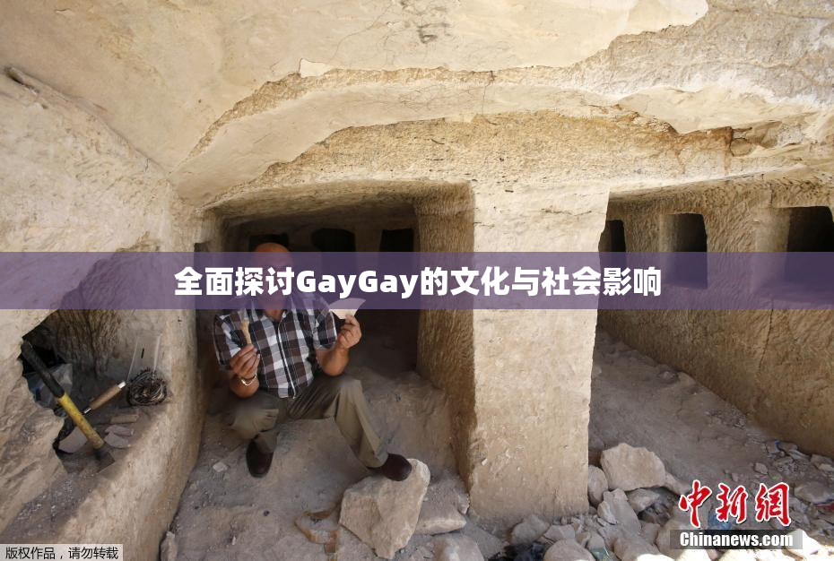 全面探讨GayGay的文化与社会影响