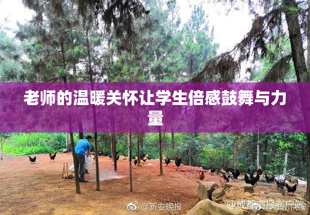 老师的温暖关怀让学生倍感鼓舞与力量
