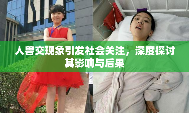 人兽交现象引发社会关注，深度探讨其影响与后果