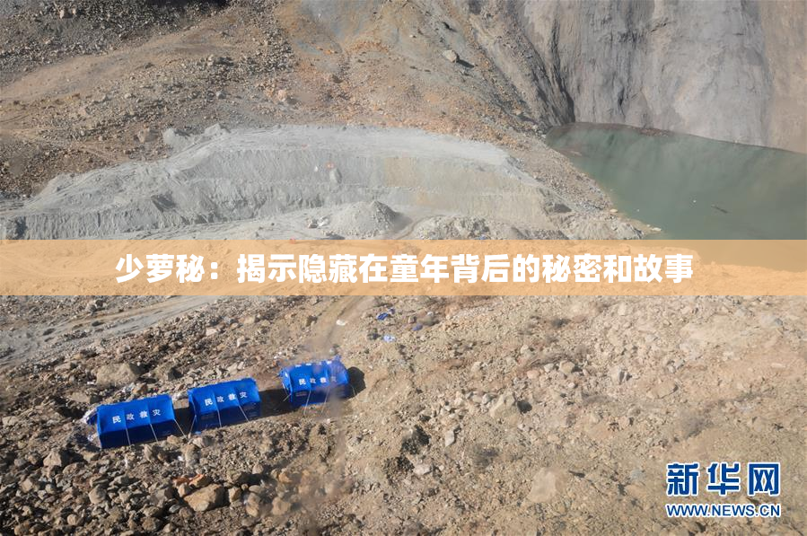 少萝秘：揭示隐藏在童年背后的秘密和故事