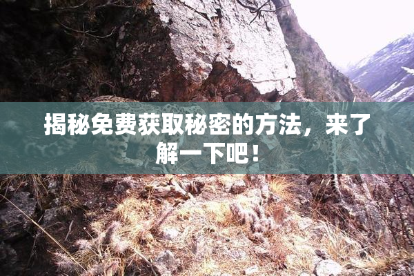 揭秘免费获取秘密的方法，来了解一下吧！
