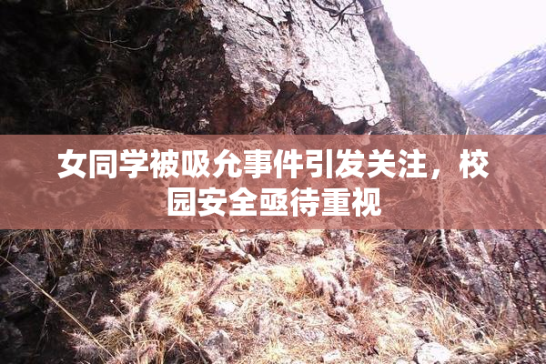 女同学被吸允事件引发关注，校园安全亟待重视
