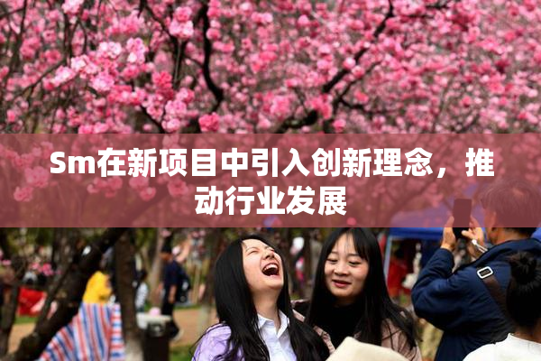 Sm在新项目中引入创新理念，推动行业发展