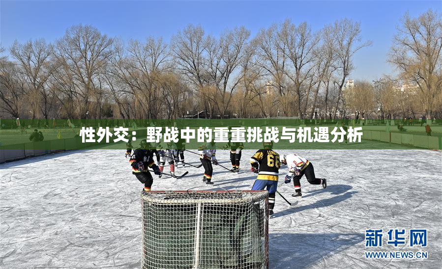 性外交：野战中的重重挑战与机遇分析