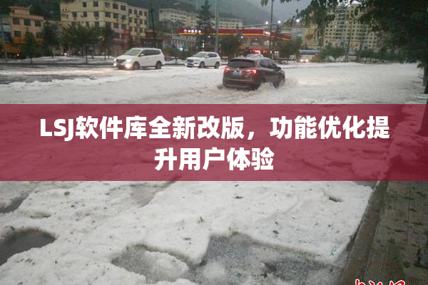 LSJ软件库全新改版，功能优化提升用户体验