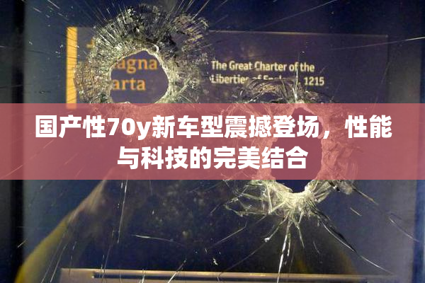 国产性70y新车型震撼登场，性能与科技的完美结合