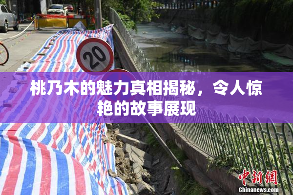 桃乃木的魅力真相揭秘，令人惊艳的故事展现