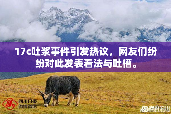 17c吐浆事件引发热议，网友们纷纷对此发表看法与吐槽。