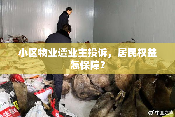 小区物业遭业主投诉，居民权益怎保障？