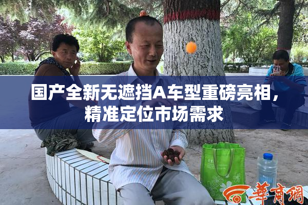 国产全新无遮挡A车型重磅亮相，精准定位市场需求