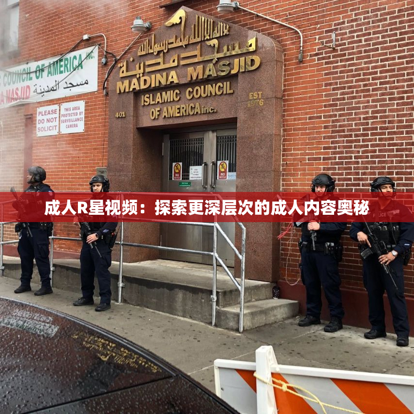 成人R星视频：探索更深层次的成人内容奥秘