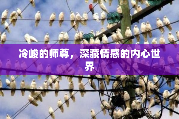 冷峻的师尊，深藏情感的内心世界