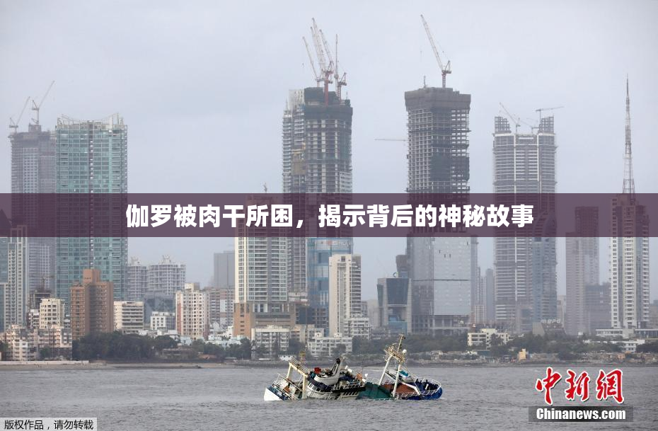 伽罗被肉干所困，揭示背后的神秘故事
