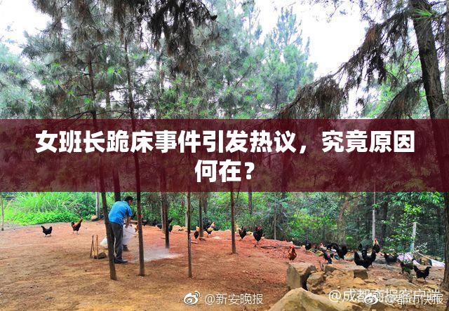 女班长跪床事件引发热议，究竟原因何在？