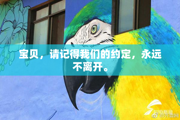 宝贝，请记得我们的约定，永远不离开。