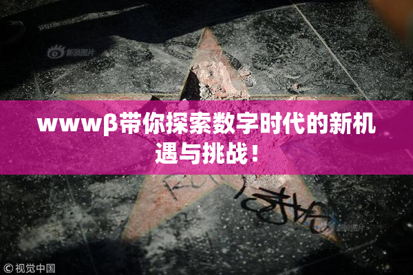 wwwβ带你探索数字时代的新机遇与挑战！