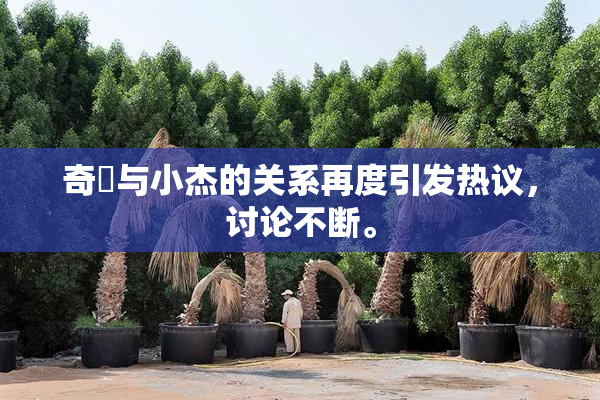 奇犽与小杰的关系再度引发热议，讨论不断。