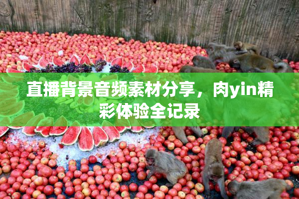 直播背景音频素材分享，肉yin精彩体验全记录
