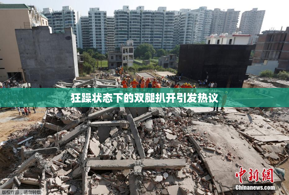 狂躁状态下的双腿扒开引发热议