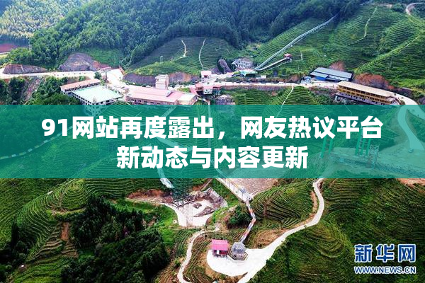 91网站再度露出，网友热议平台新动态与内容更新