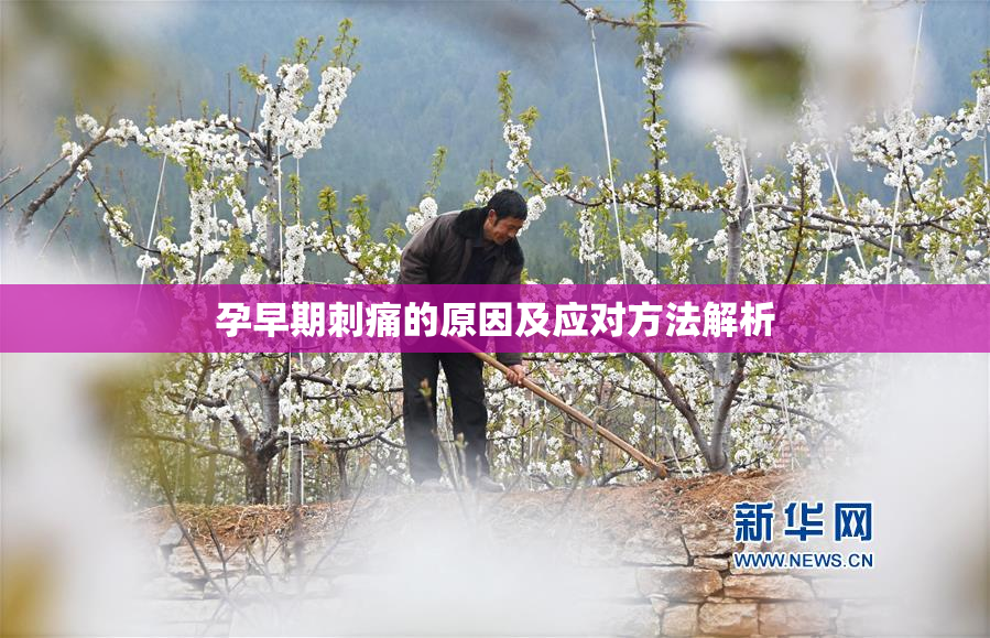 孕早期刺痛的原因及应对方法解析
