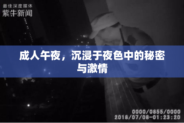 成人午夜，沉浸于夜色中的秘密与激情