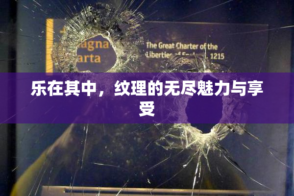 乐在其中，纹理的无尽魅力与享受