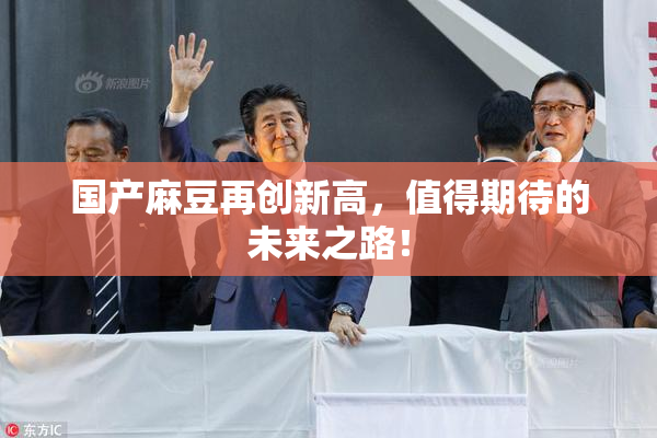 国产麻豆再创新高，值得期待的未来之路！