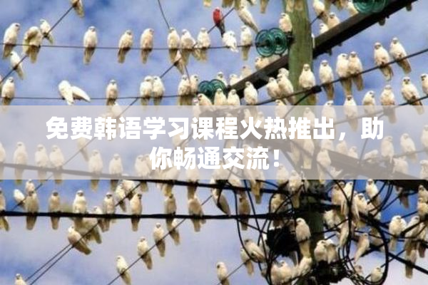 免费韩语学习课程火热推出，助你畅通交流！