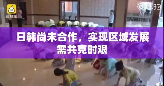 日韩尚未合作，实现区域发展需共克时艰