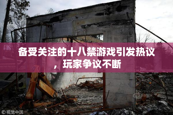 备受关注的十八禁游戏引发热议，玩家争议不断