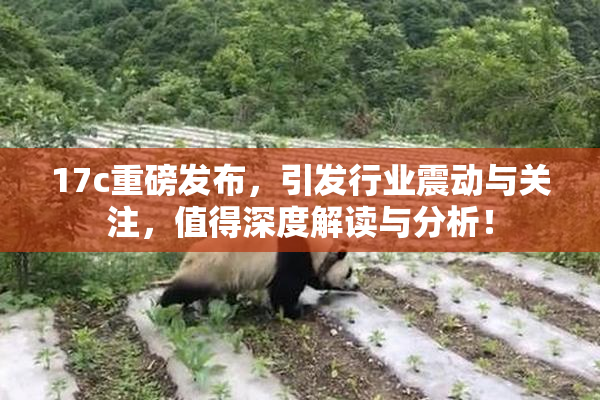 17c重磅发布，引发行业震动与关注，值得深度解读与分析！