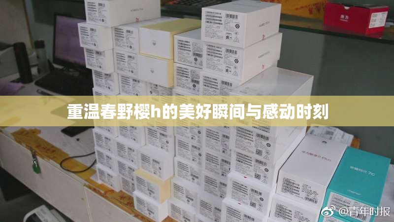 重温春野樱h的美好瞬间与感动时刻