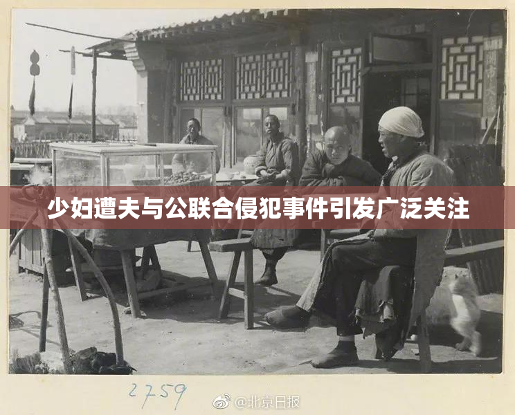 少妇遭夫与公联合侵犯事件引发广泛关注