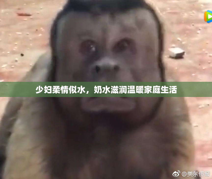 少妇柔情似水，奶水滋润温暖家庭生活