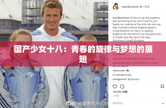 国产少女十八：青春的旋律与梦想的展翅