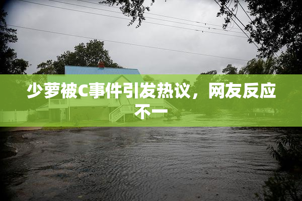 少萝被C事件引发热议，网友反应不一