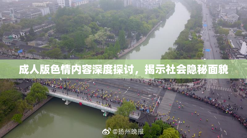 成人版色情内容深度探讨，揭示社会隐秘面貌